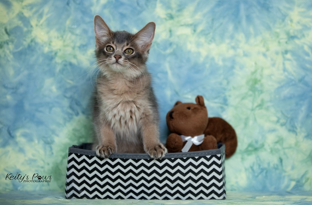 Underwater Sirius  2 Mois