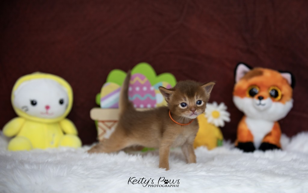 Amandine Aum 3 Semaines