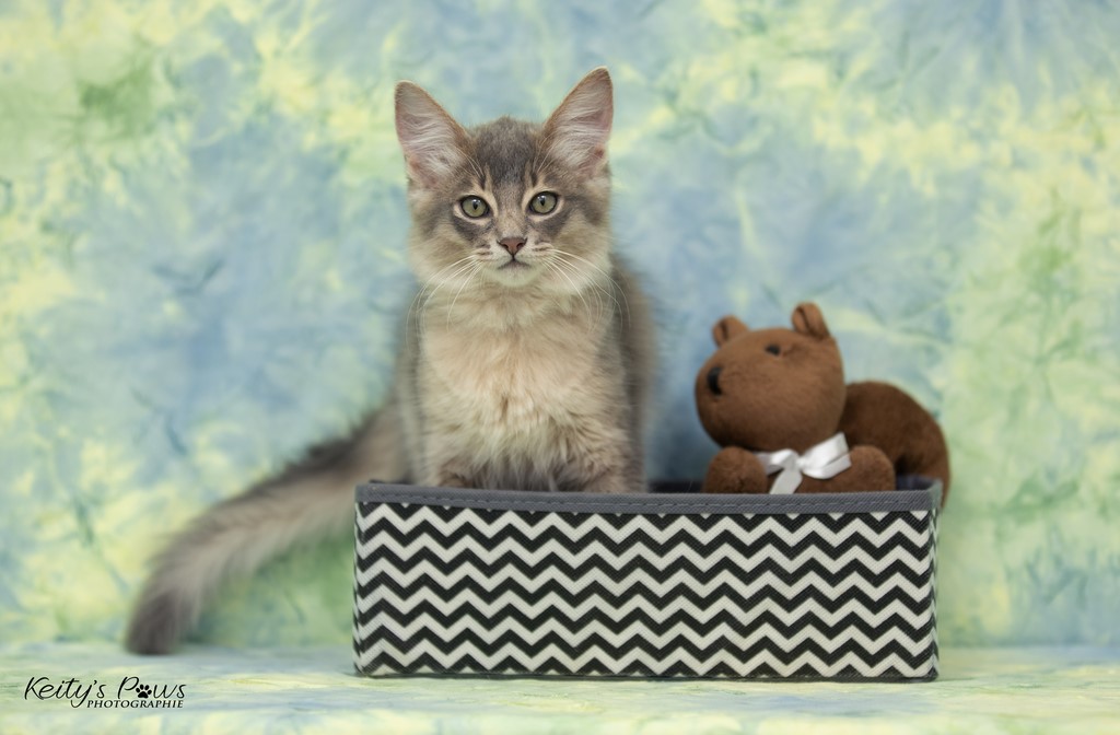 Underwater Ubi  2 Mois