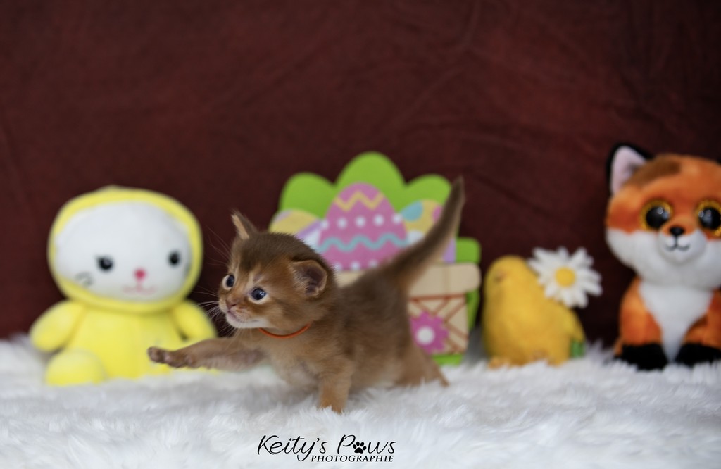 Amandine Aum 3 Semaines