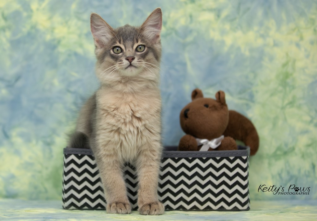 Underwater Ubi  2 Mois