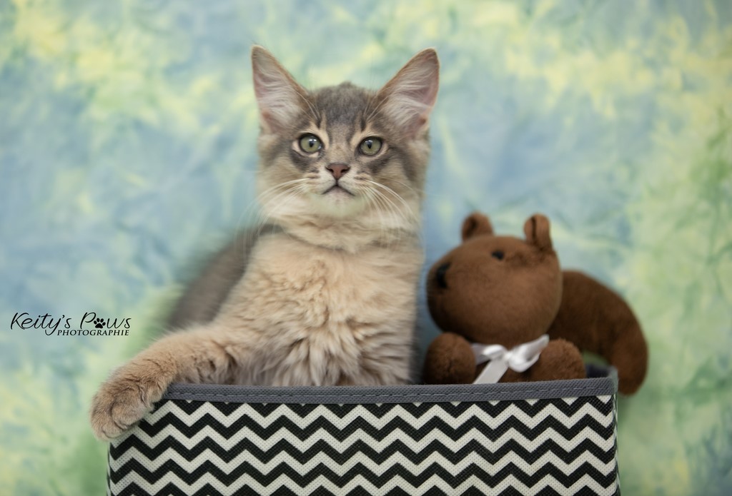 Underwater Ubi  2 Mois