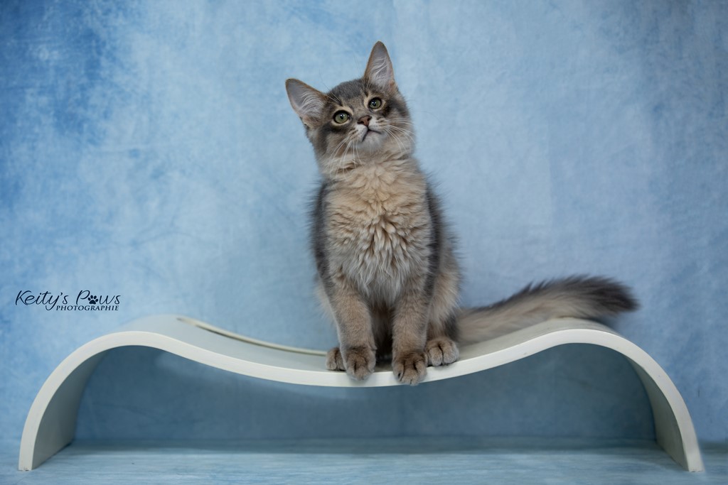 Underwater  Ubi 3 Mois