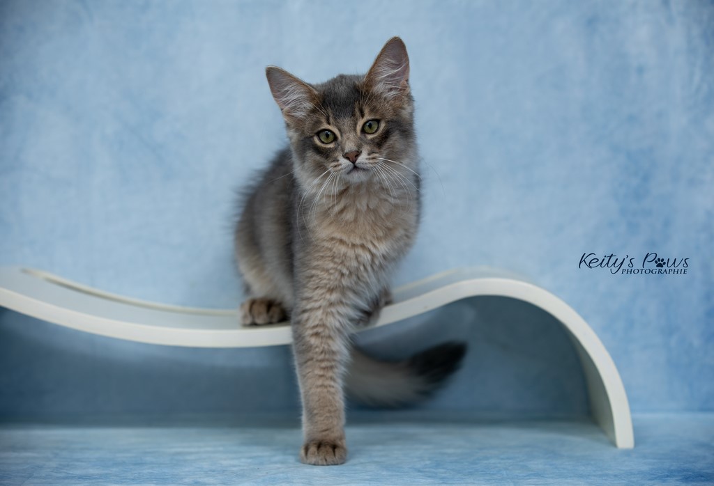 Underwater  Ubi 3 Mois