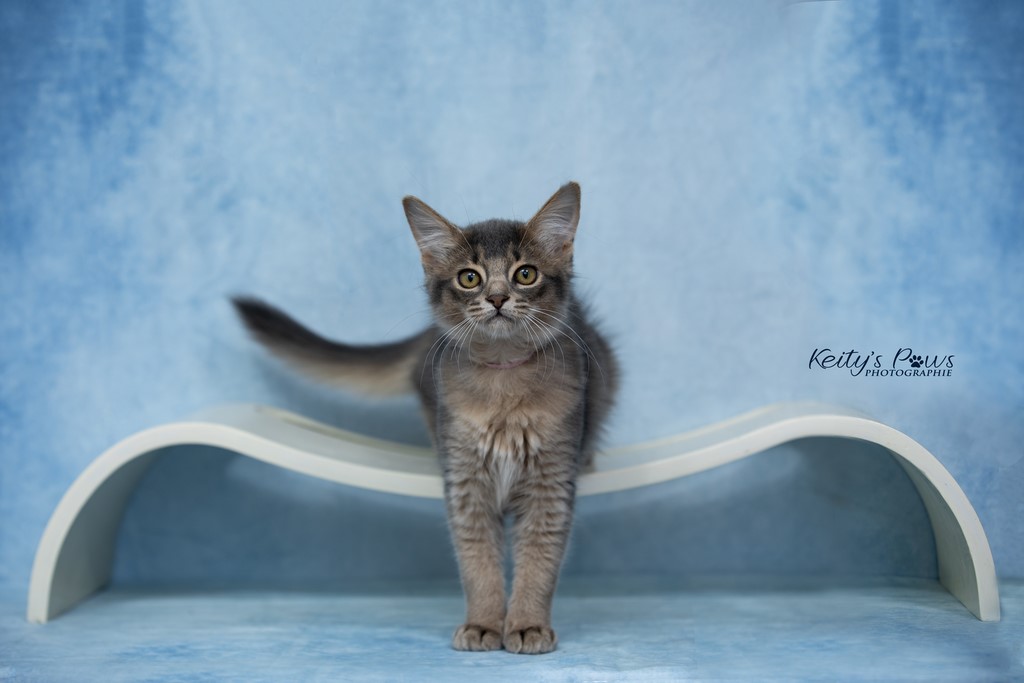 Underwater  Sora 3 Mois