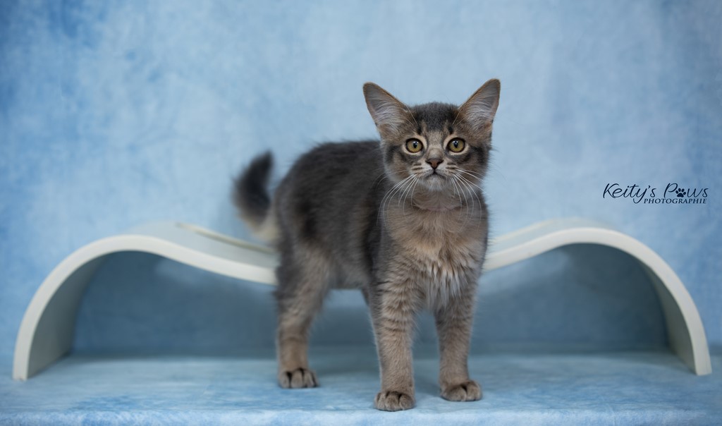 Underwater  Sora 3 Mois