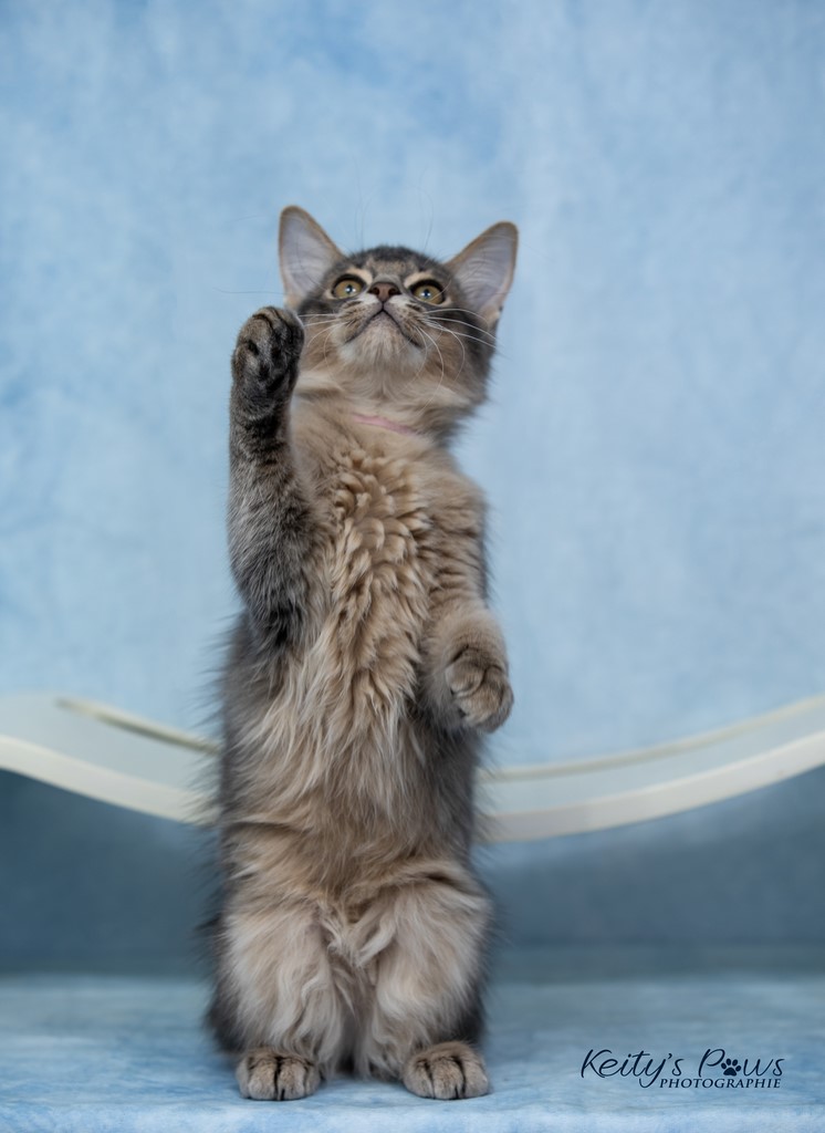 Underwater  Sora 3 Mois