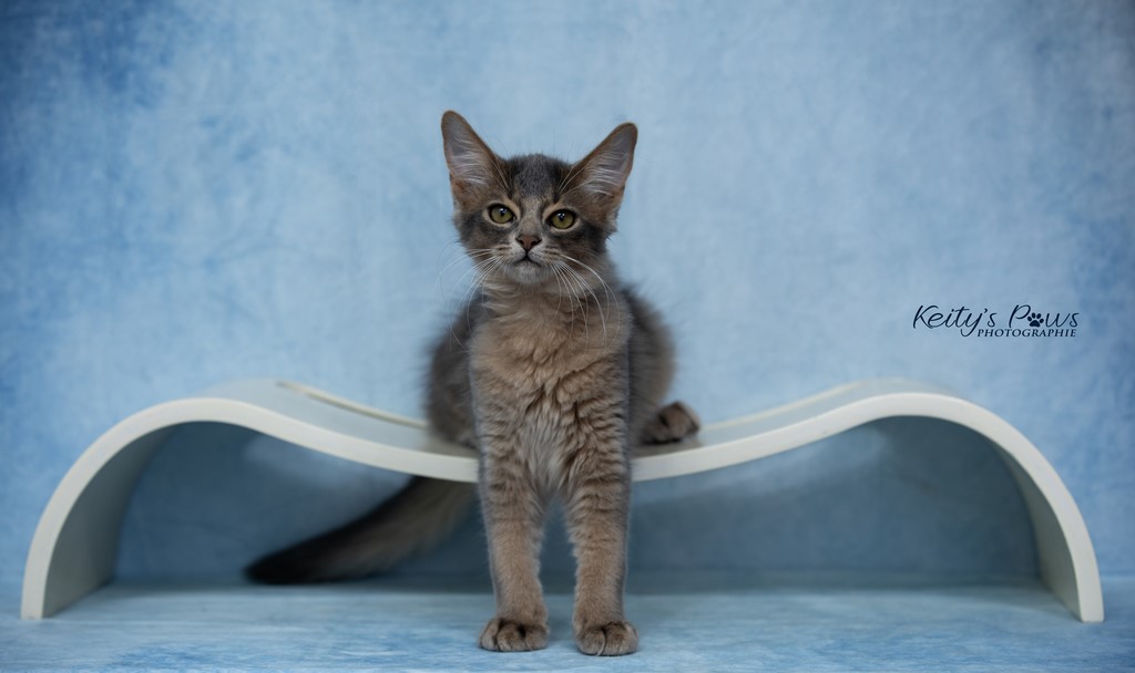 Underwater Sirius 3 Mois