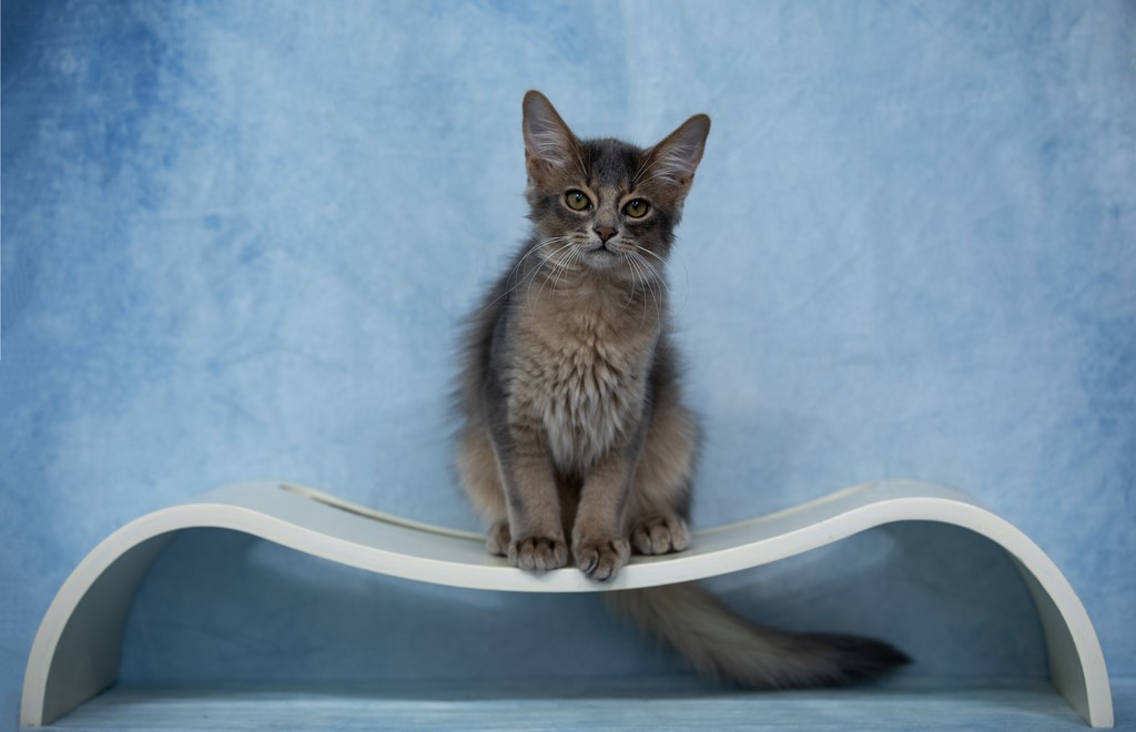 Underwater Sirius 3 Mois