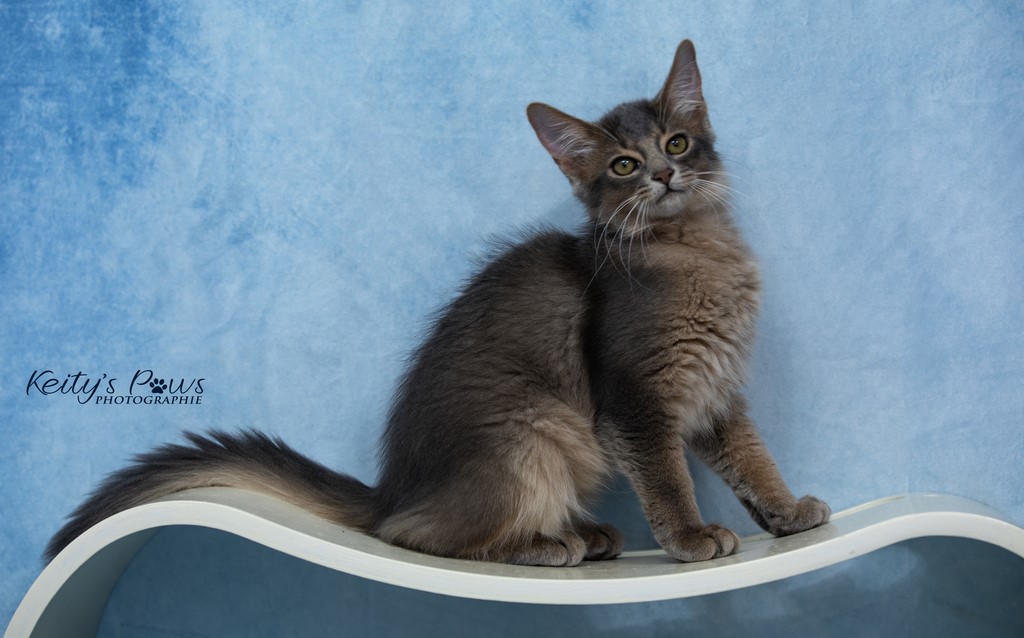 Underwater Sirius 3 Mois