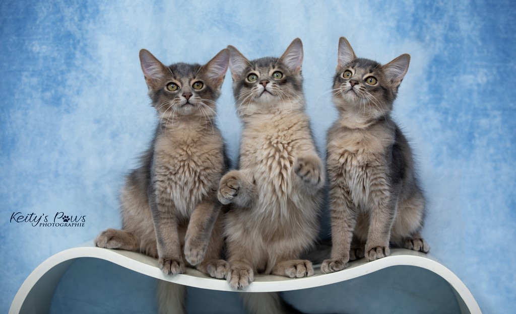 Underwater Sirius Sora Ubi 3 Mois