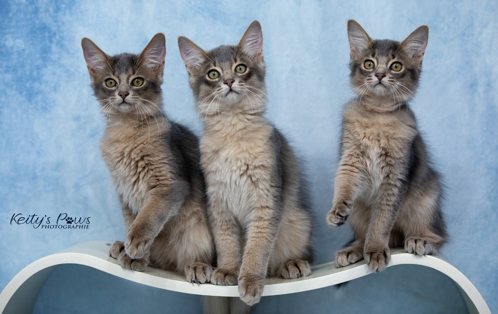 Underwater Sirius Sora Ubi 3 Mois