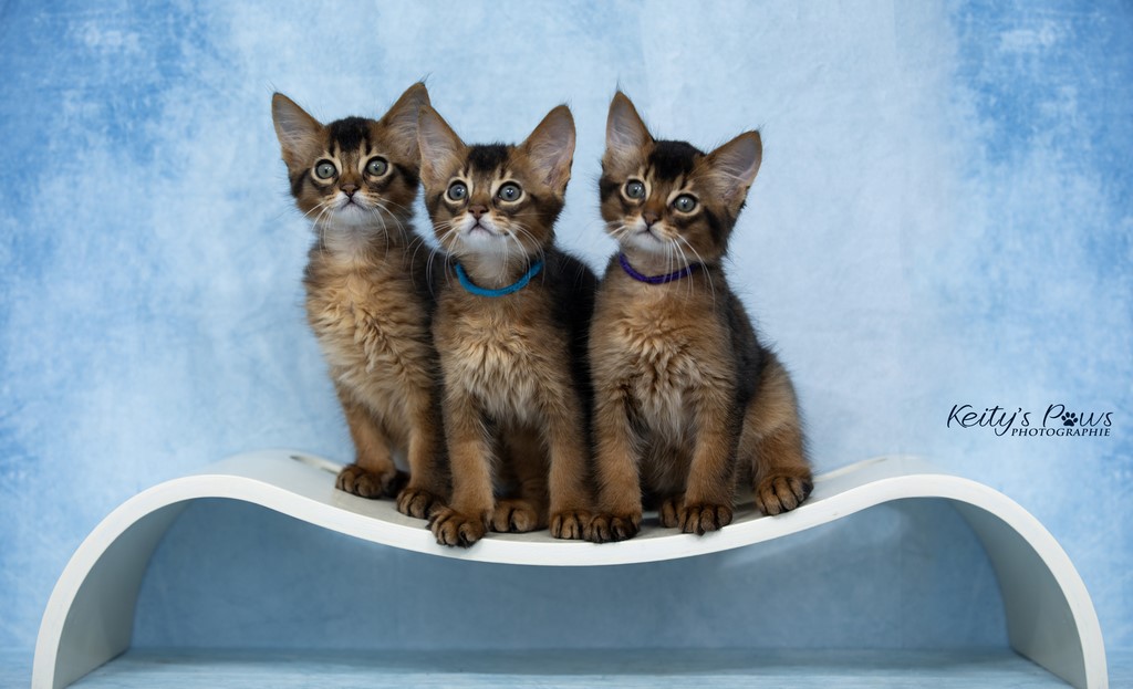 WhisperStar Wing Wind  2 Mois