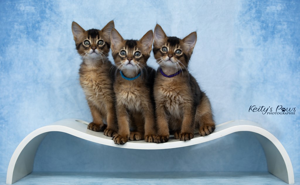 WhisperStar Wing Wind  2 Mois