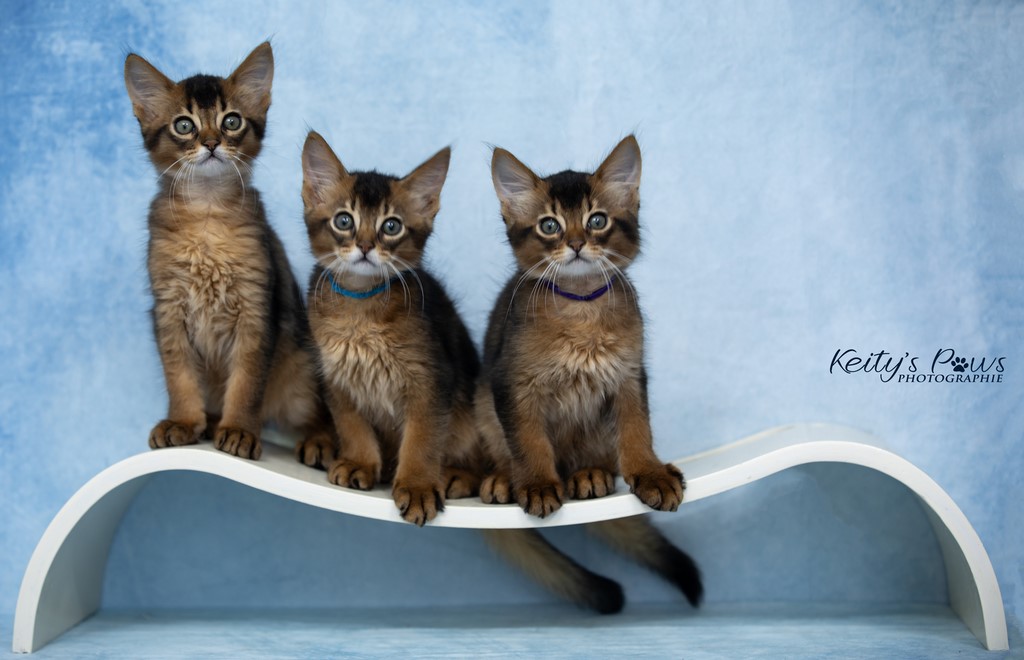 WhisperStar Wing Wind  2 Mois