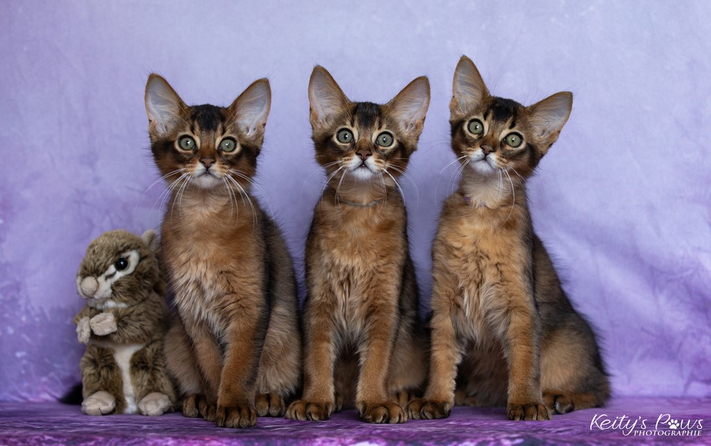 WhisperStar, Wing, Wind 2 Mois