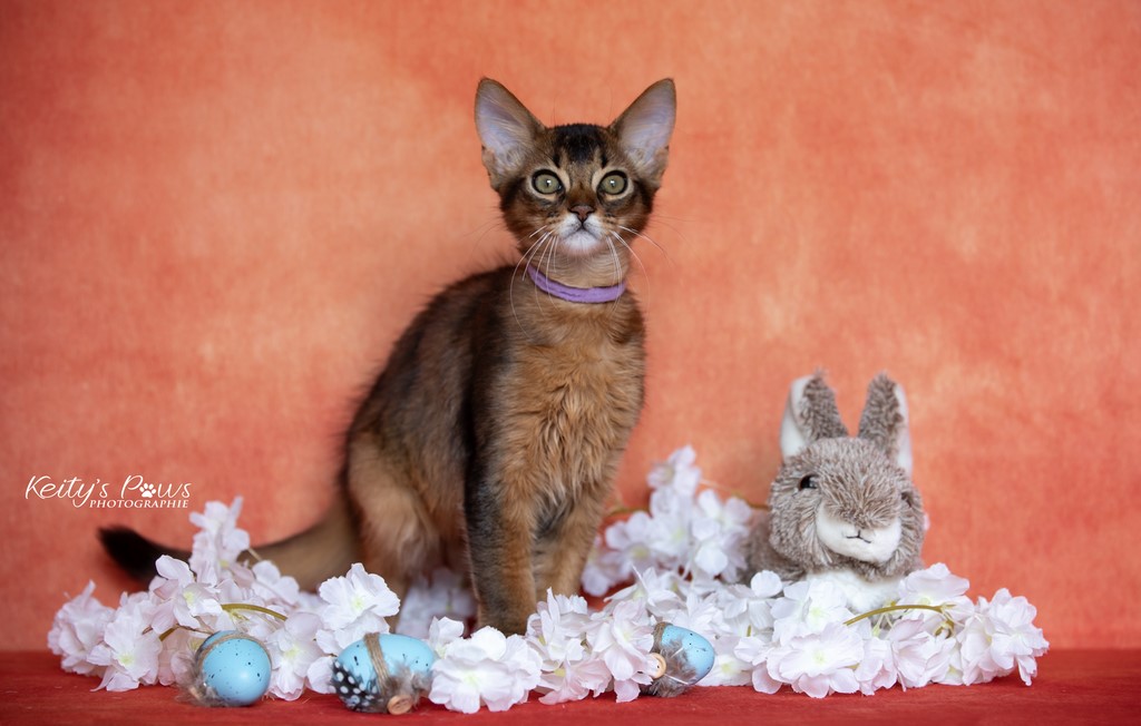  WhisperWind "Zorion"    3 Mois