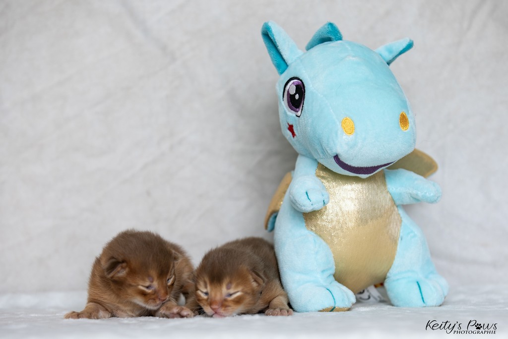 Ashka Asthur 1 Semaine