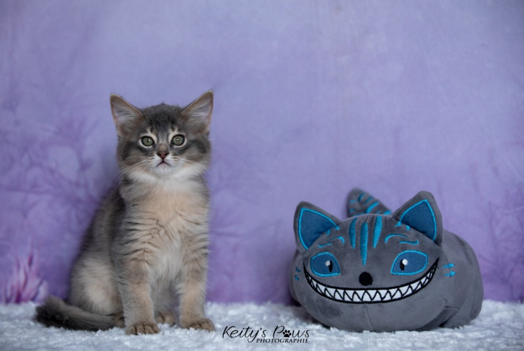 BlueMoon (bleu)  2 Mois