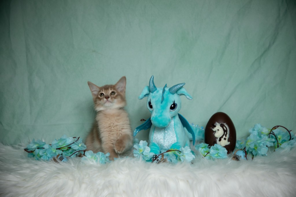 BorealBright (Fawn) 2  Mois