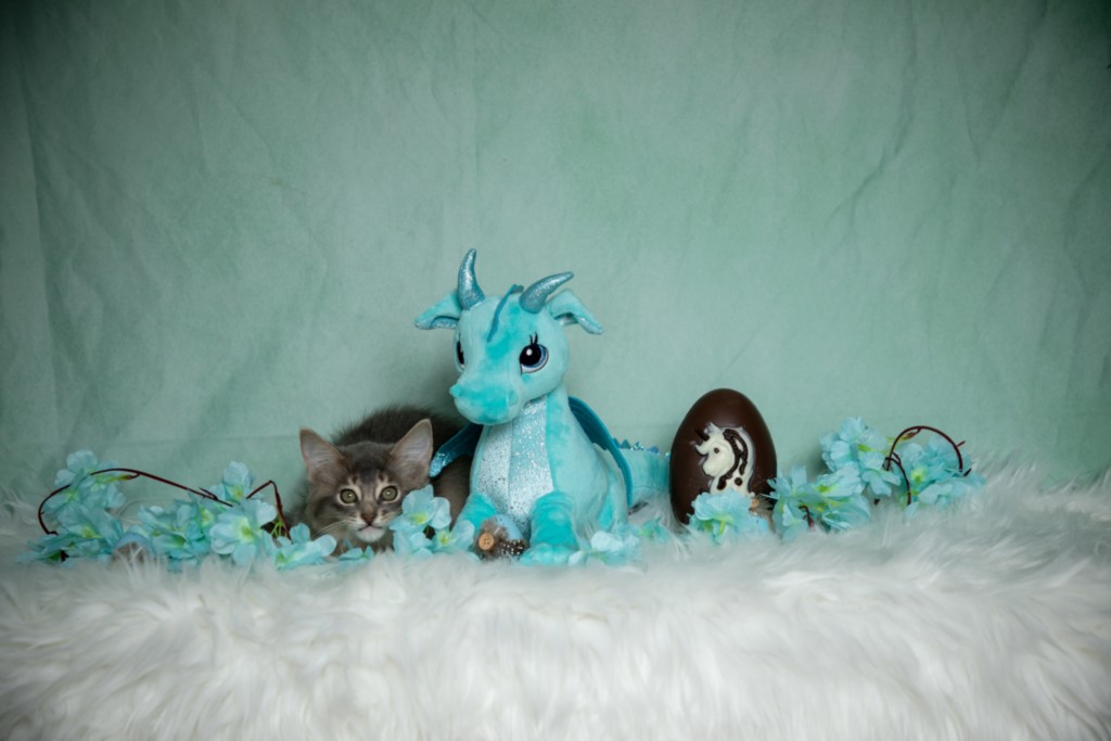 BlueMoon (bleu)  2 Mois