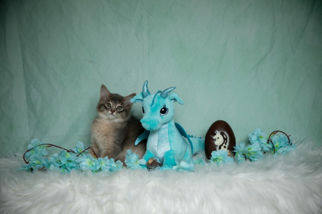 BlueMoon (bleu)  2 Mois