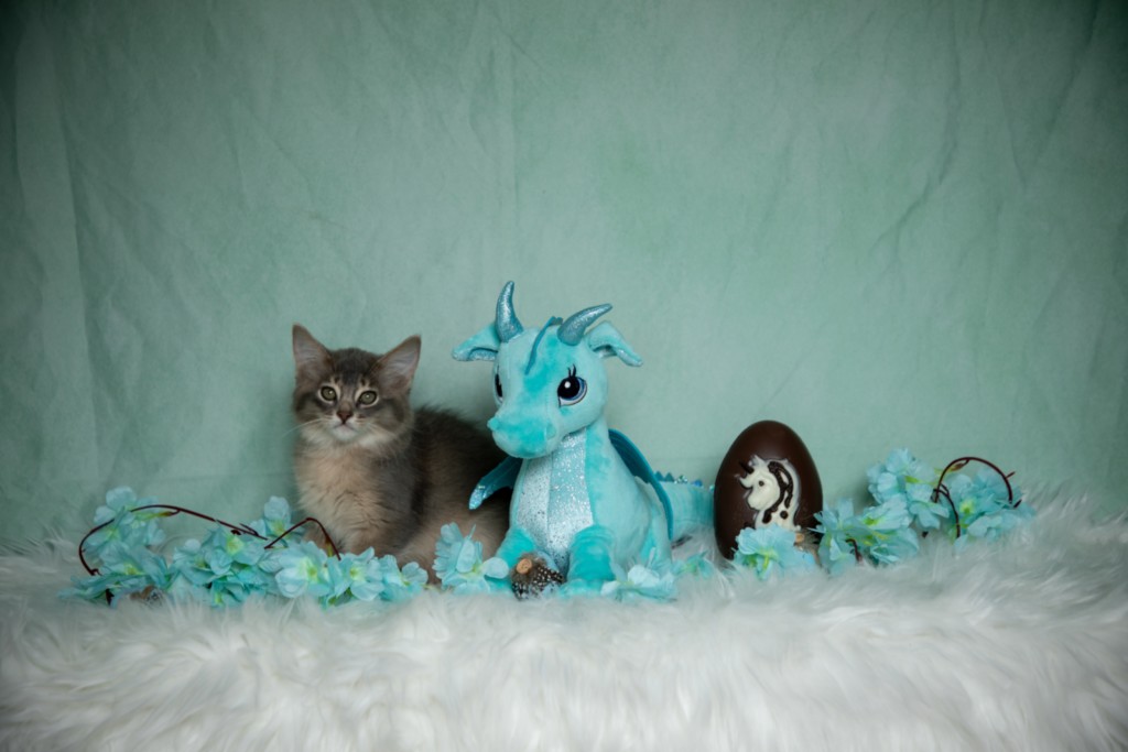 BlueMoon (bleu)  2 Mois