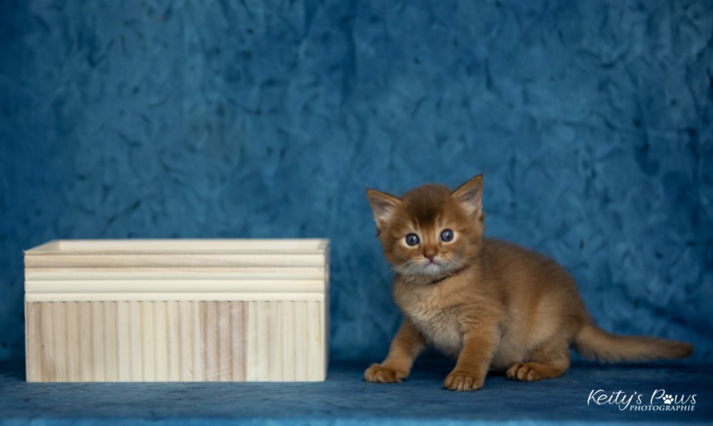 Asthur-Achille 1 Mois