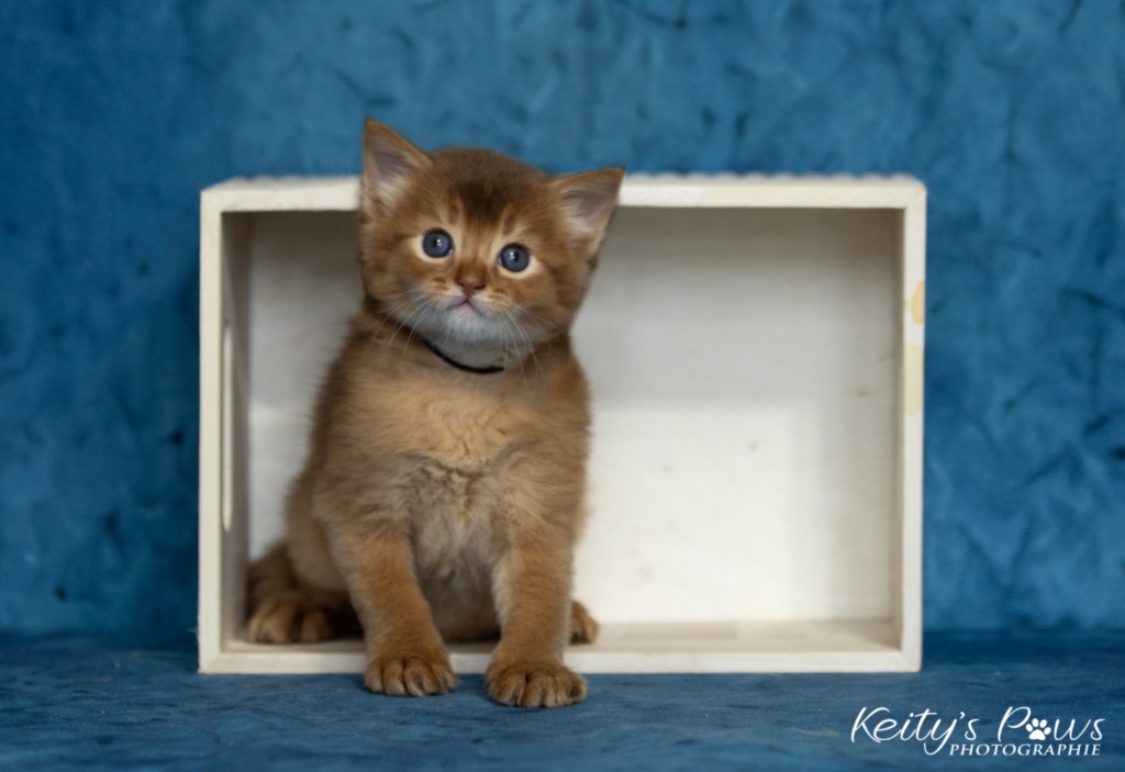 Asthur-Achille 1 Mois