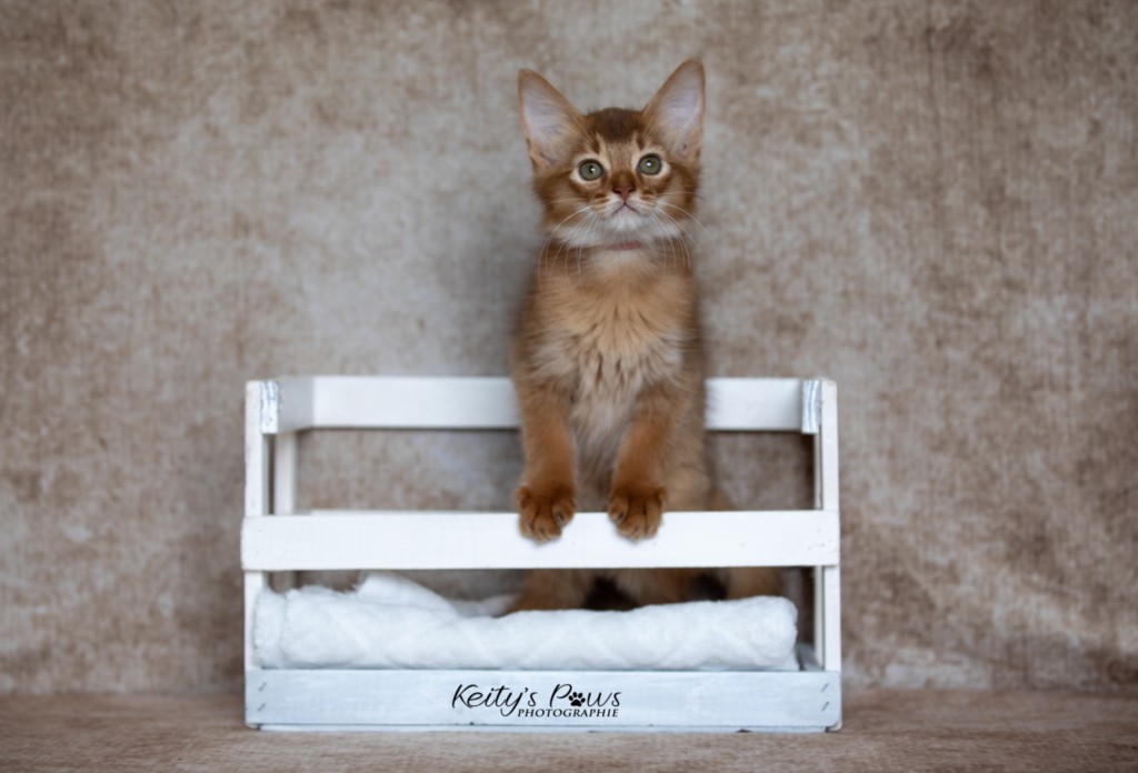 After Eight Minty 2 Mois