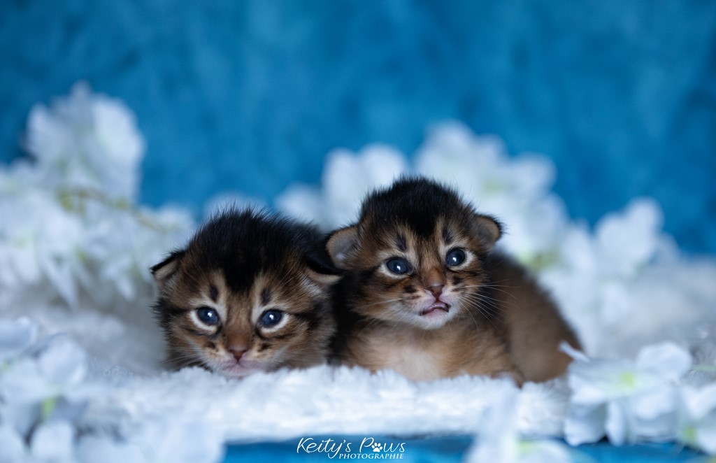 Vision & Wanda 2 semaines