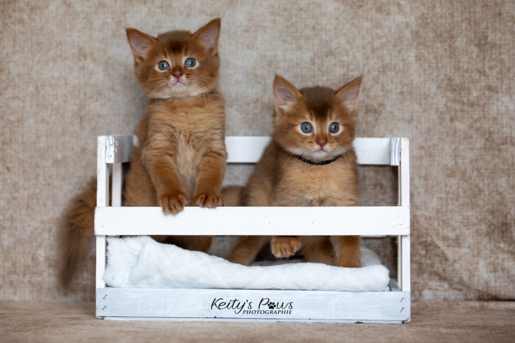 Asthur-Achille & Ashka-Ayrton 1 Mois