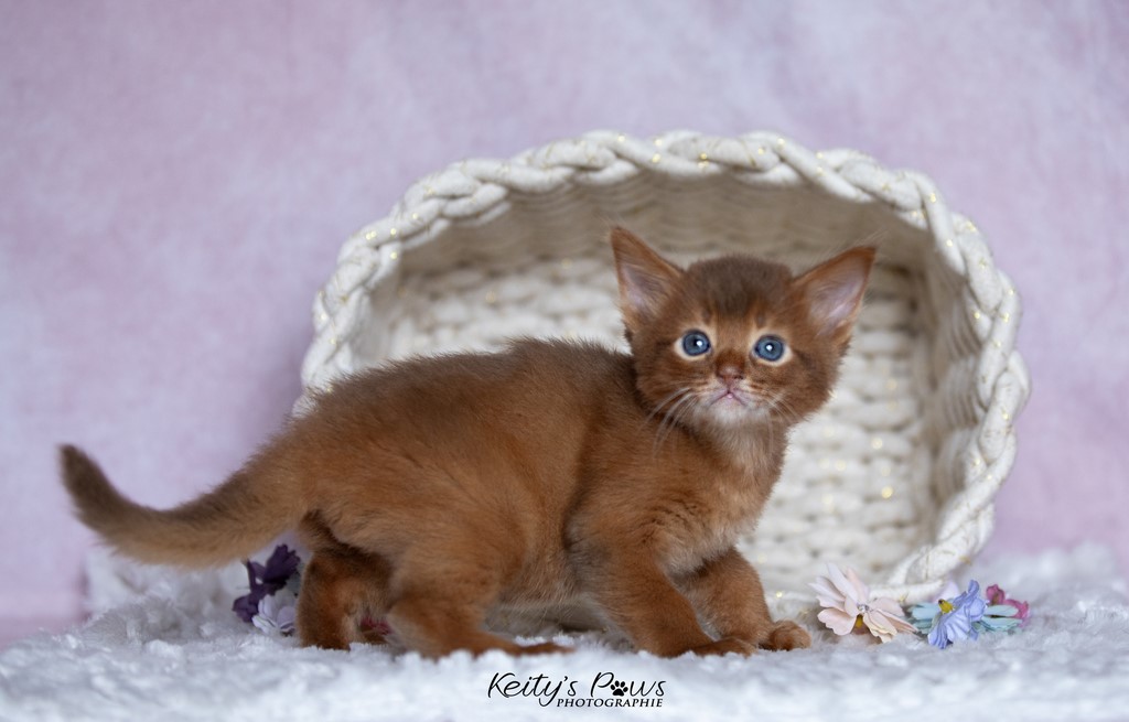  Zenkō "Teto"  1 Mois