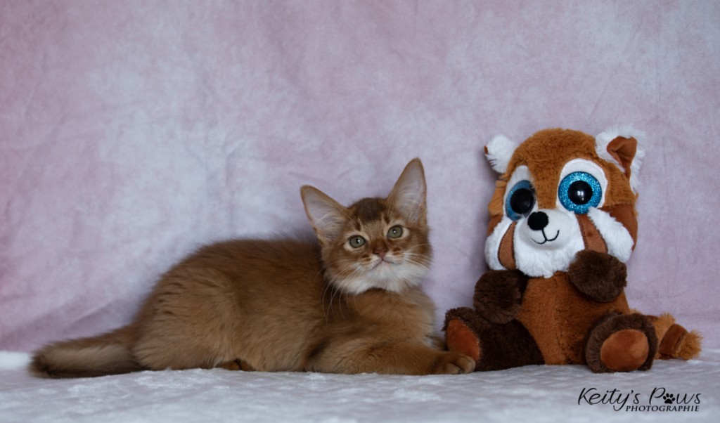 After Eight-Minty 2 Mois