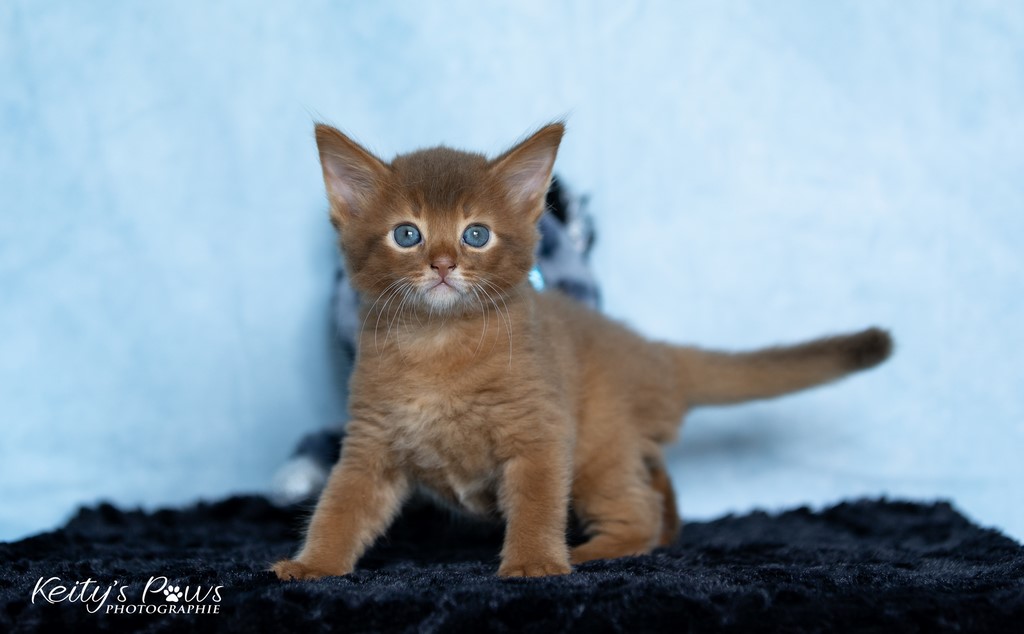 Zenkō "Teto"  1 Mois