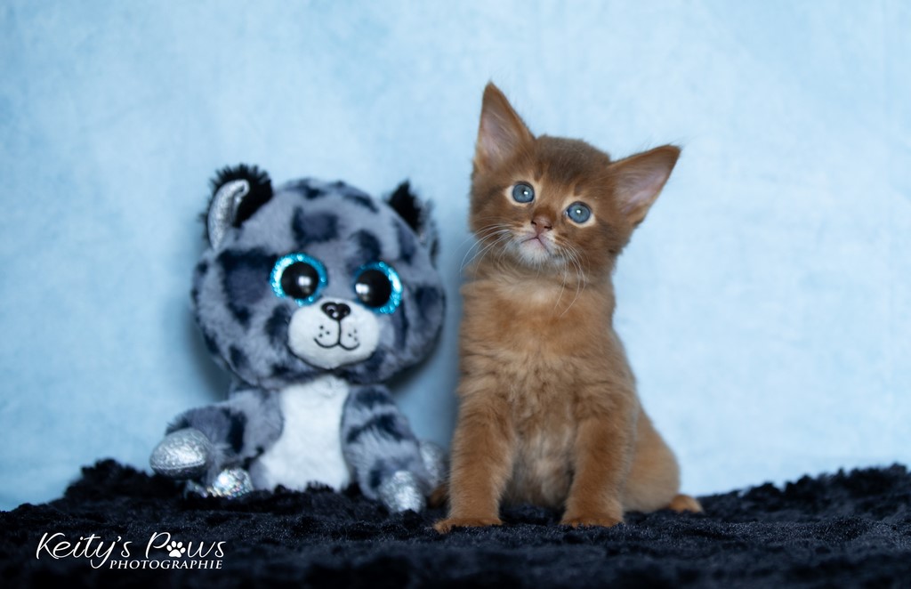 Zenkō "Teto"  1 Mois