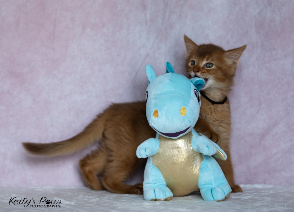  Asthur-Achille 1 Mois