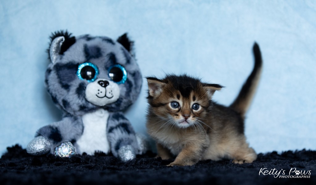 Vision Sola 4 Semaines