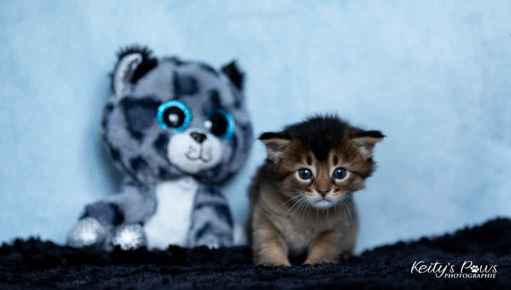 Vision Sola 4 Semaines