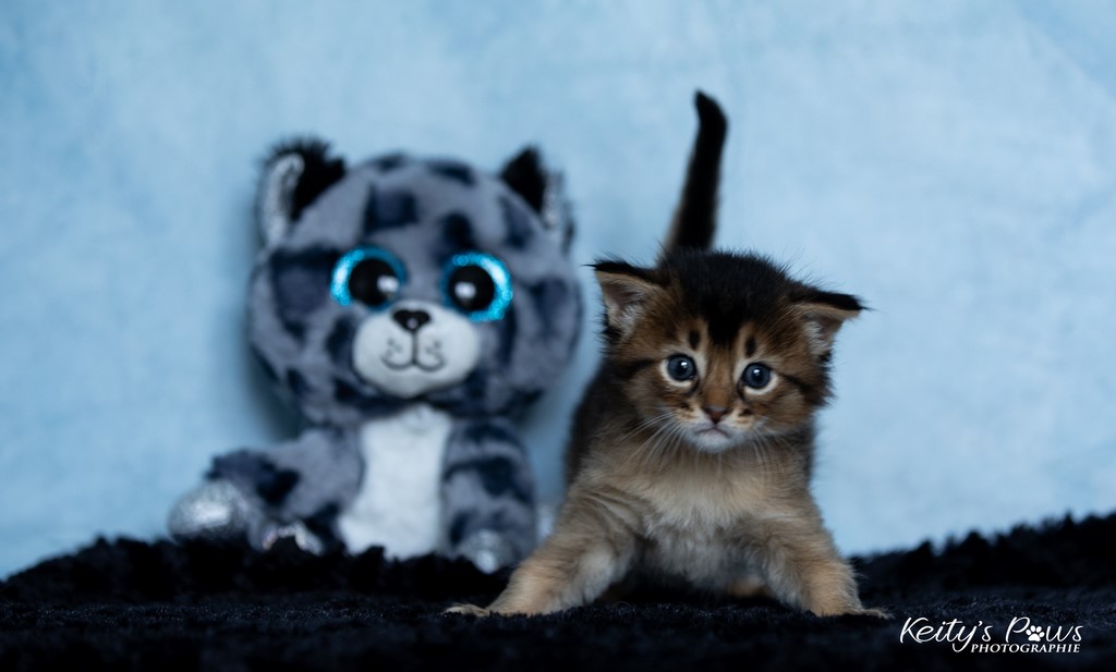 Vision Sola 4 Semaines