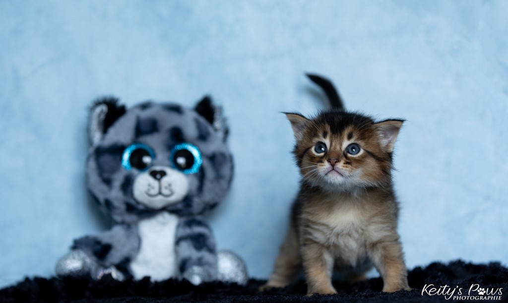 Vision Sola 4 Semaines