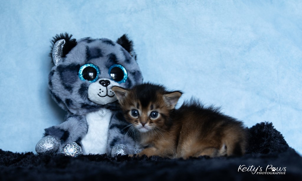 Wanda Vixy   4 Semaines