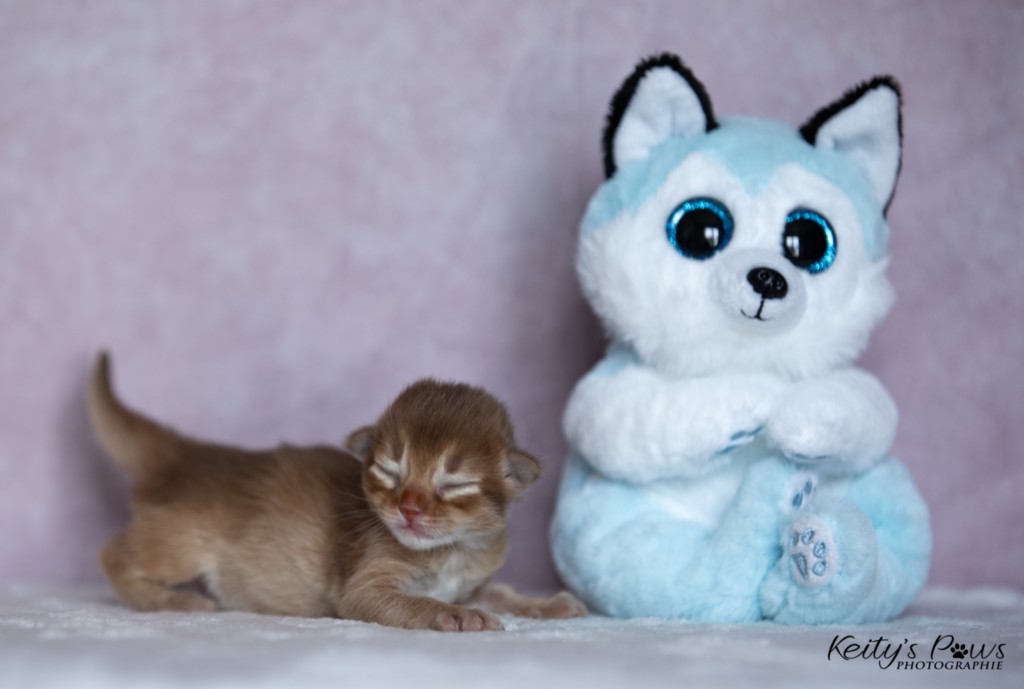 Athena-Abigail  1 Semaine