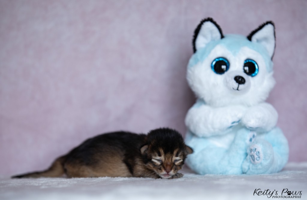  Aurora-Aimy 1 Semaine