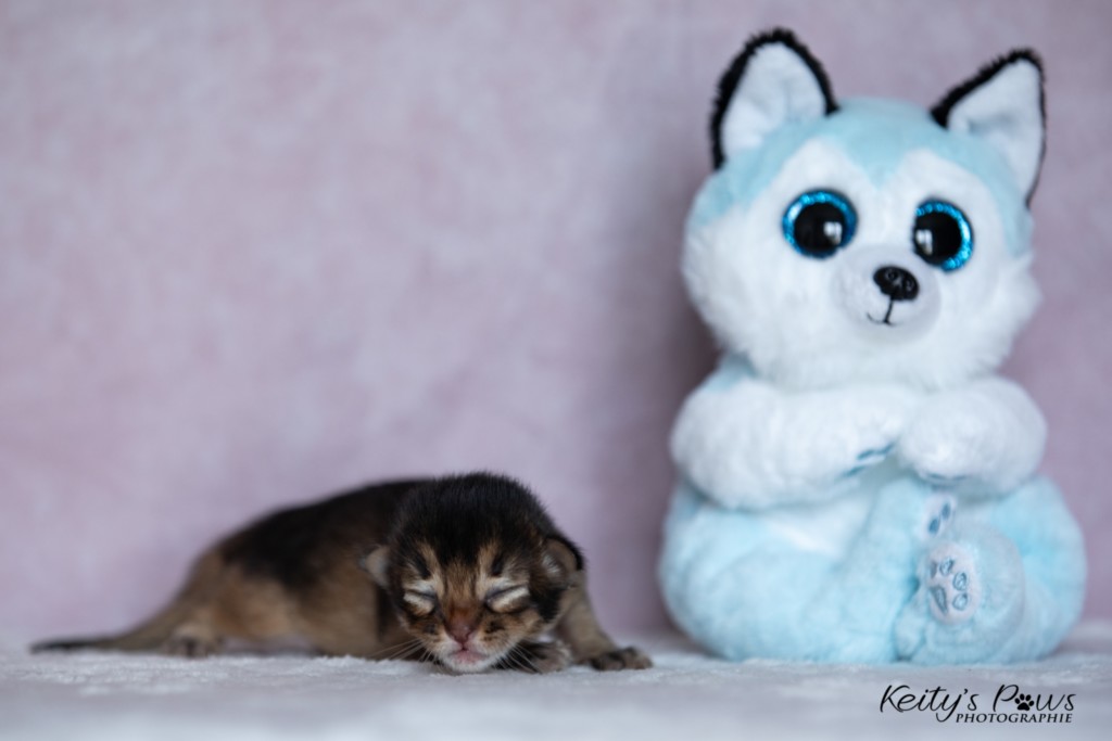  Aurora-Aimy 1 Semaine