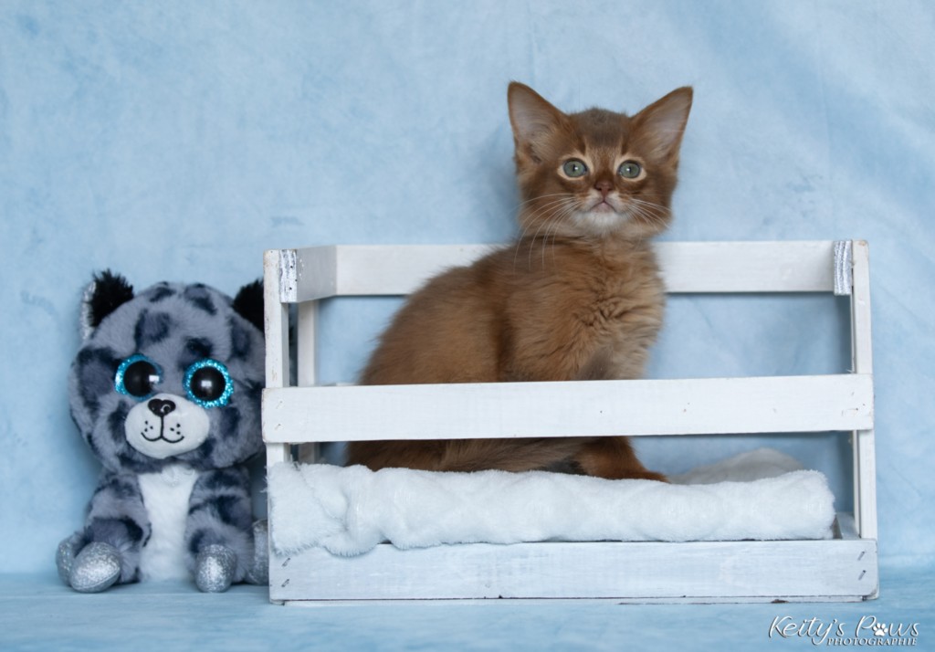 Ashka-Ayrton  2 Mois