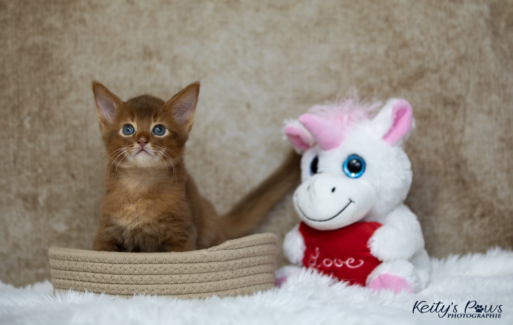  Zenkō "Teto"  1 Mois