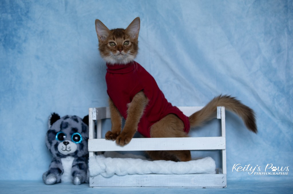 After Eight Minty 3 Mois