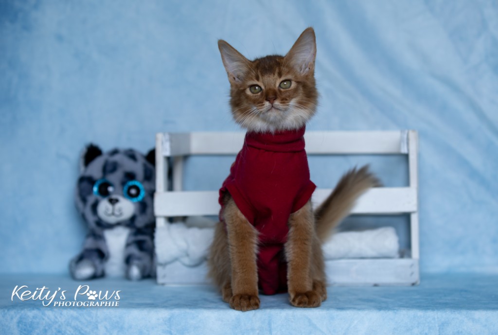 After Eight Minty 3 Mois