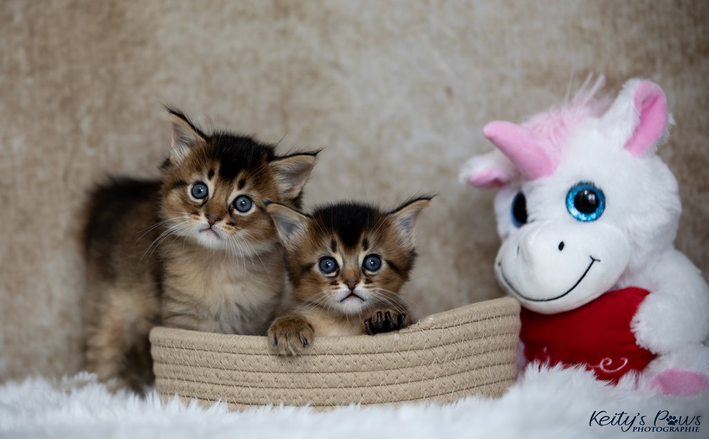   Wanda Vixy & Vision Sola 1 Mois